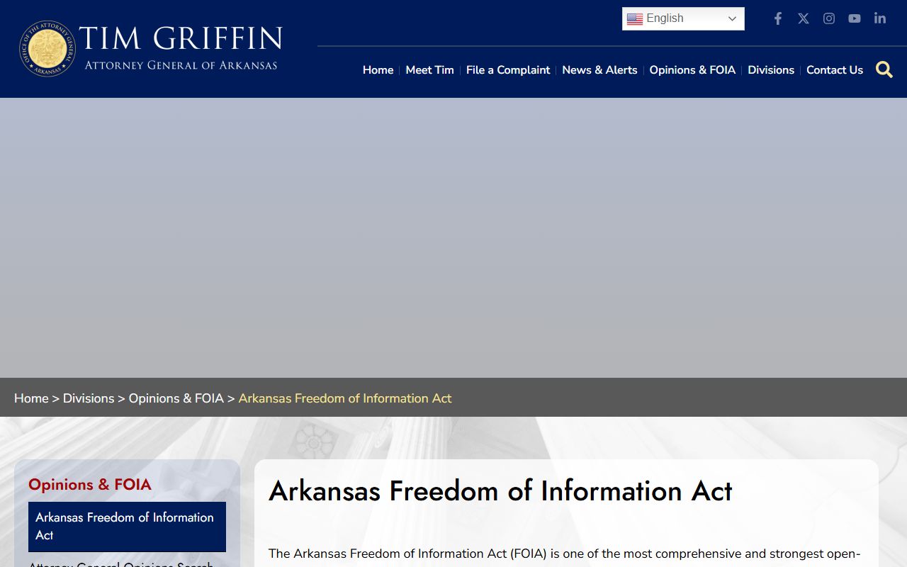Arkansas FOIA Resources - Public Access to Court Records